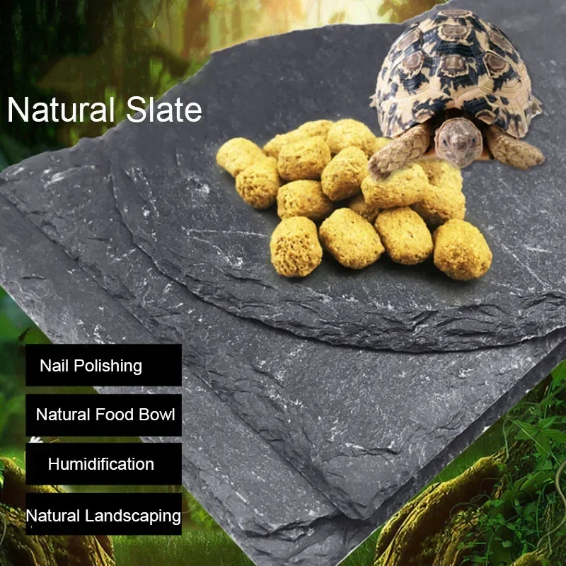 Pet Supplies Fish - Natürliche Schiefer Aquarium Haustier Reptilien Feeder
