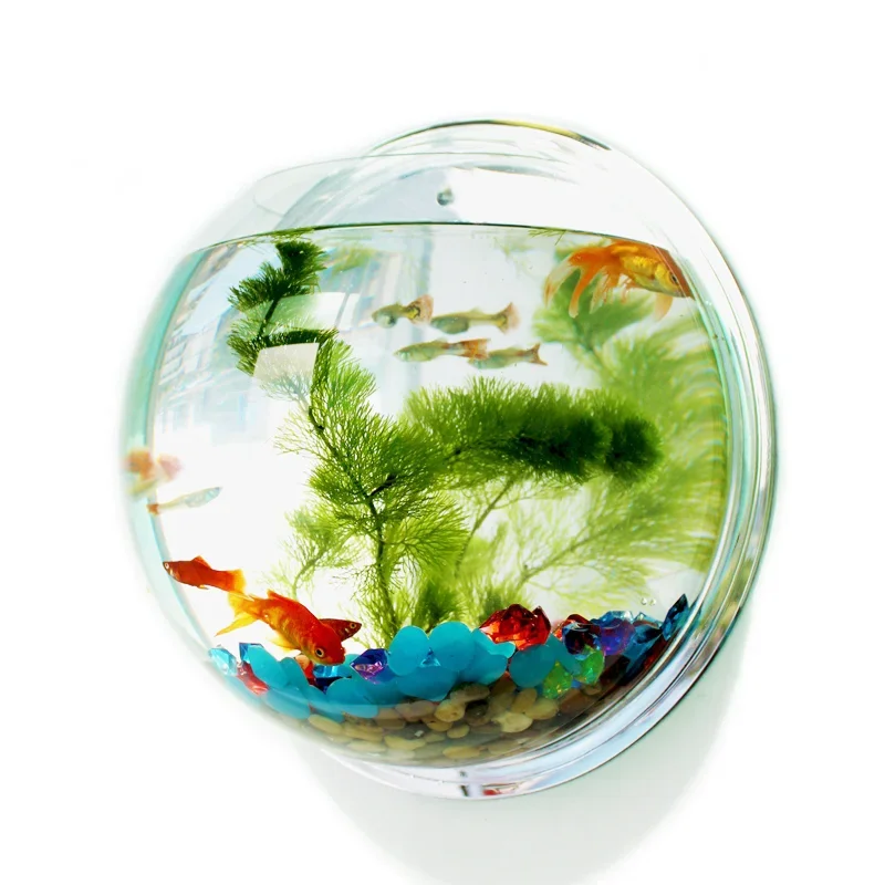 Pet Supplies Fish - Pinsjar Acryl Fischschale Wandbehang Aquarium Tank