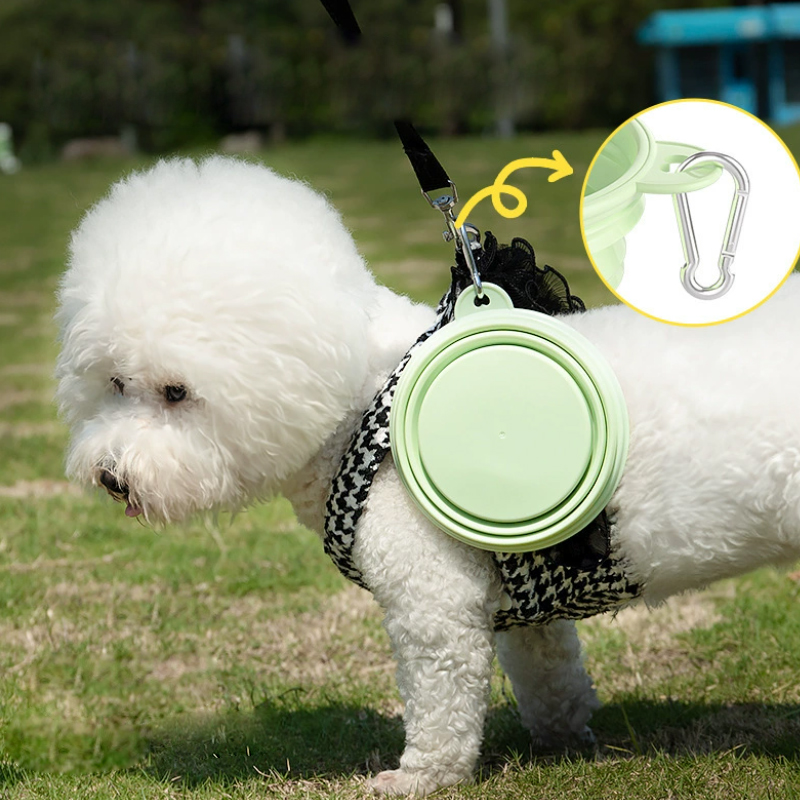 Farbe Haustier Liefert Tragbar – Pet Supplies Dog Food Bewertung und Preis