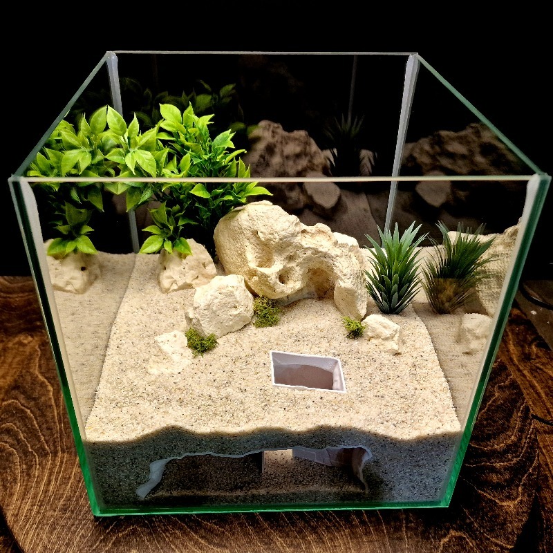 3D-Gedruckte Geheimhöhle für F – Pet Supplies Fish Bewertung und Preis