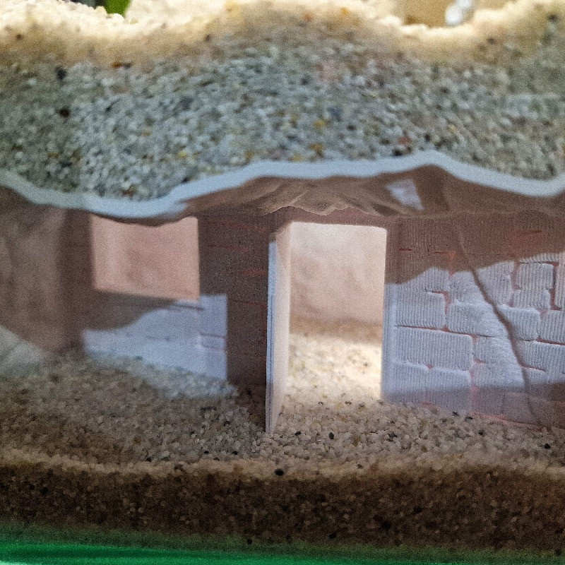 3D-Gedruckte Geheimhöhle für F – Pet Supplies Fish Bewertung und Preis