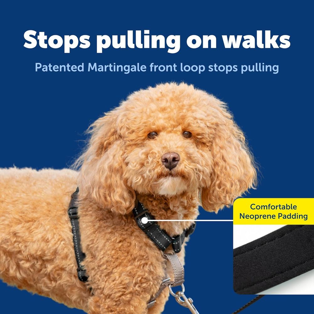 3-in-1 Anti-Zug-Hundegeschirr  – No Pull Dog Harness Bewertung und Preis