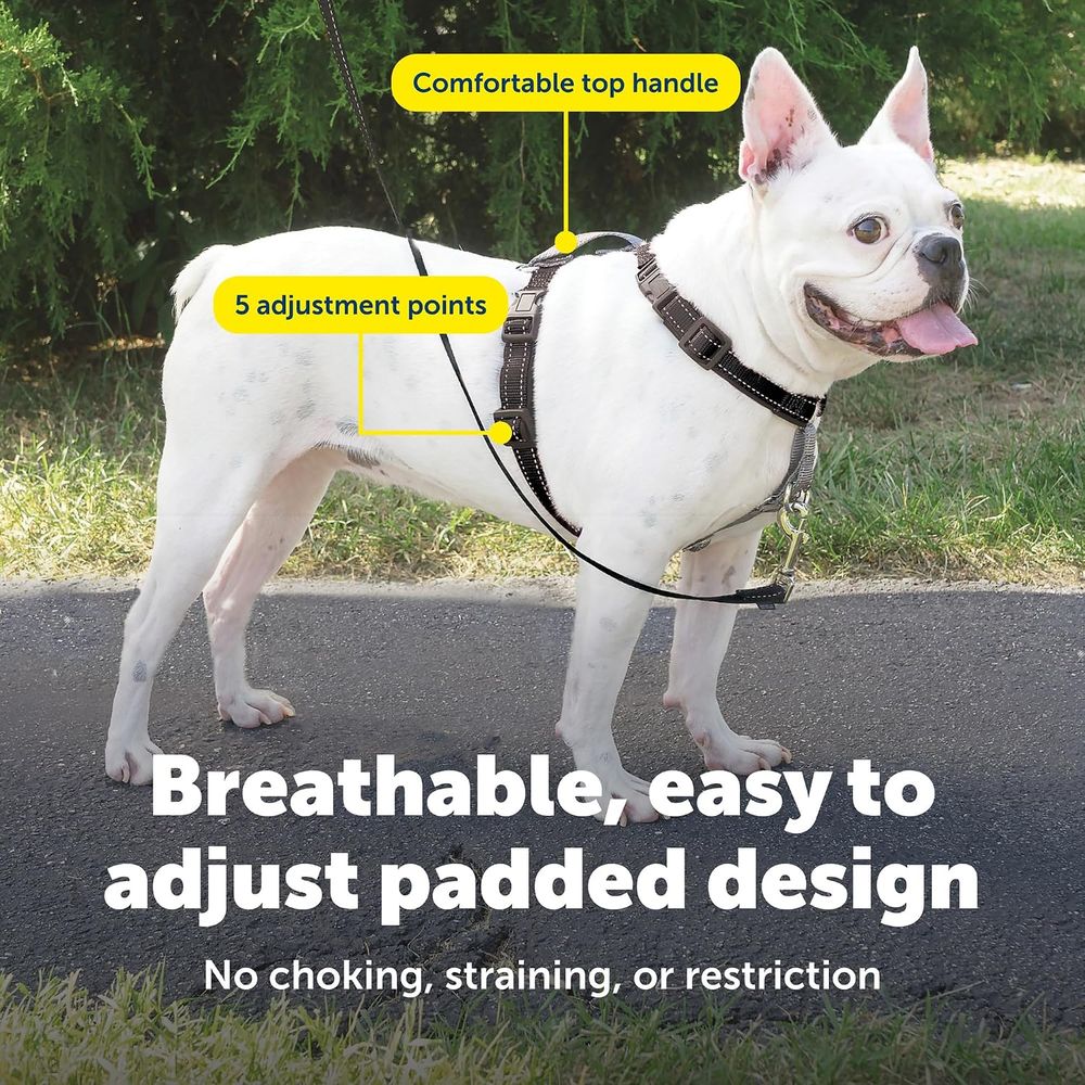 3-in-1 Anti-Zug-Hundegeschirr  – No Pull Dog Harness Bewertung und Preis