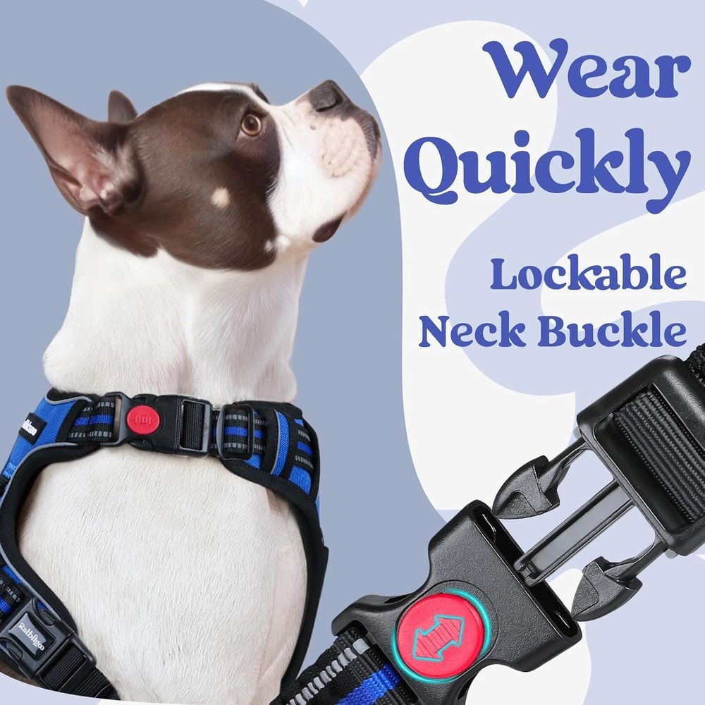 Mittelgroßes Hundegeschirr, Ei – No Pull Dog Harness Bewertung und Preis