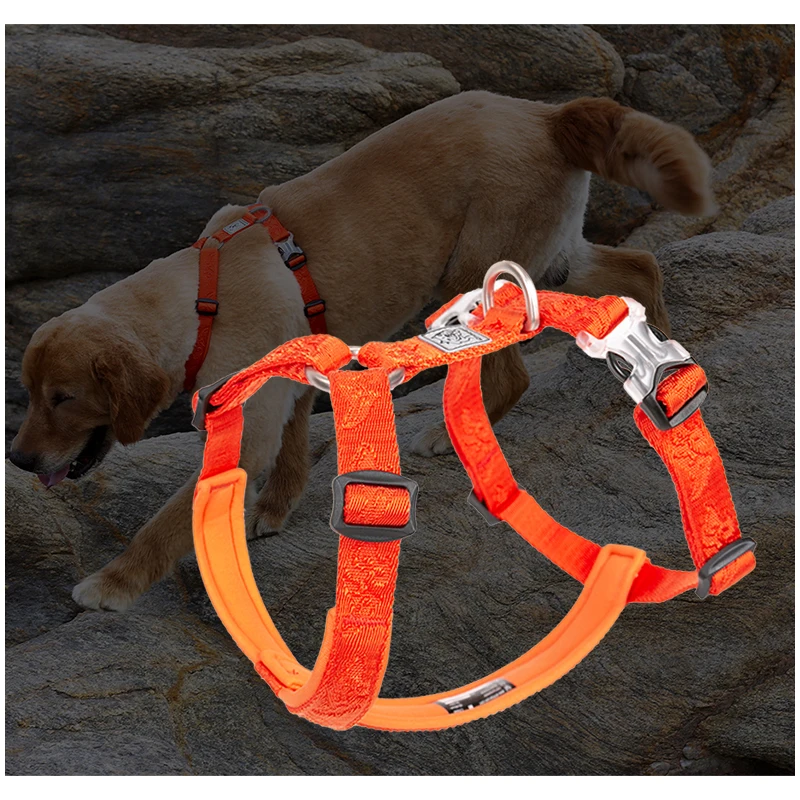 TRUELOVE Pet Hairy Usag Premiu – No Pull Dog Harness Bewertung und Preis