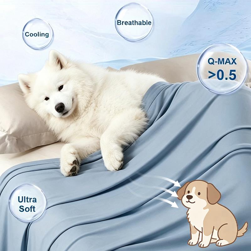 Sommerliche kühlende dünne Dec – Dog Cooling Mat Bewertung und Preis