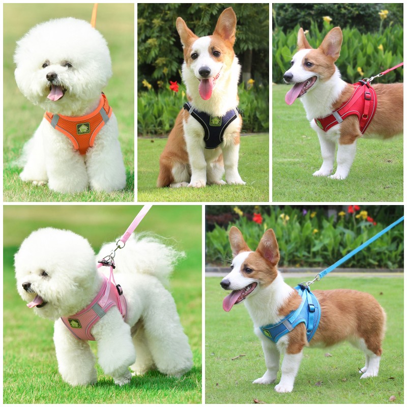 Reflektierendes Haustier-Gesch – No Pull Dog Harness Bewertung und Preis