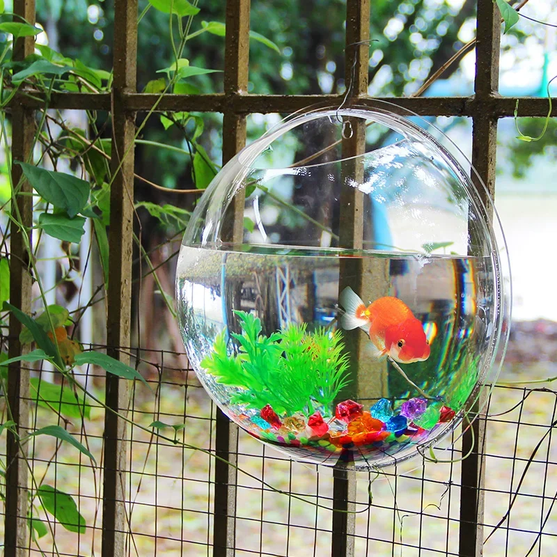 Pinsjar Acryl Fischschale Wand – Pet Supplies Fish Bewertung und Preis