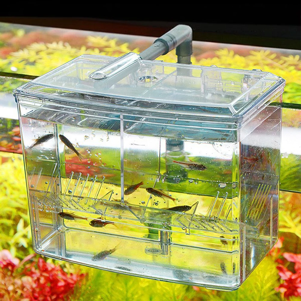 1,25L 2,5L Aquarium-Fischzucht – Pet Supplies Fish Bewertung und Preis