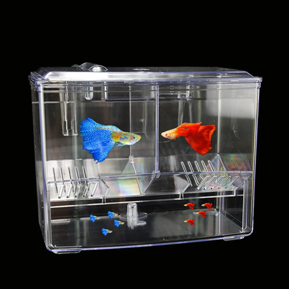 1,25L 2,5L Aquarium-Fischzucht – Pet Supplies Fish Bewertung und Preis
