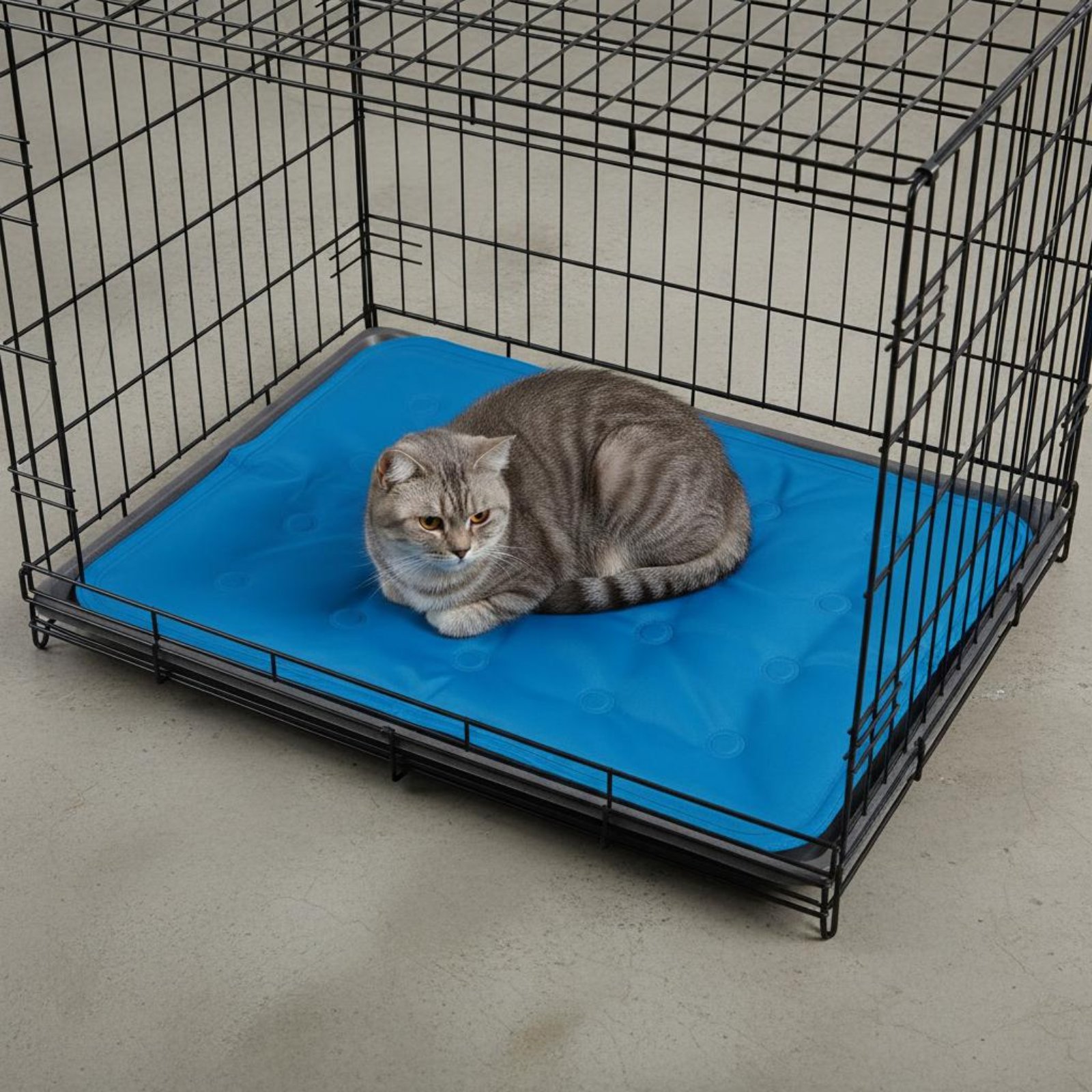 Kühlmatte für Haustiere Gel-Kü – Dog Cooling Mat Bewertung und Preis