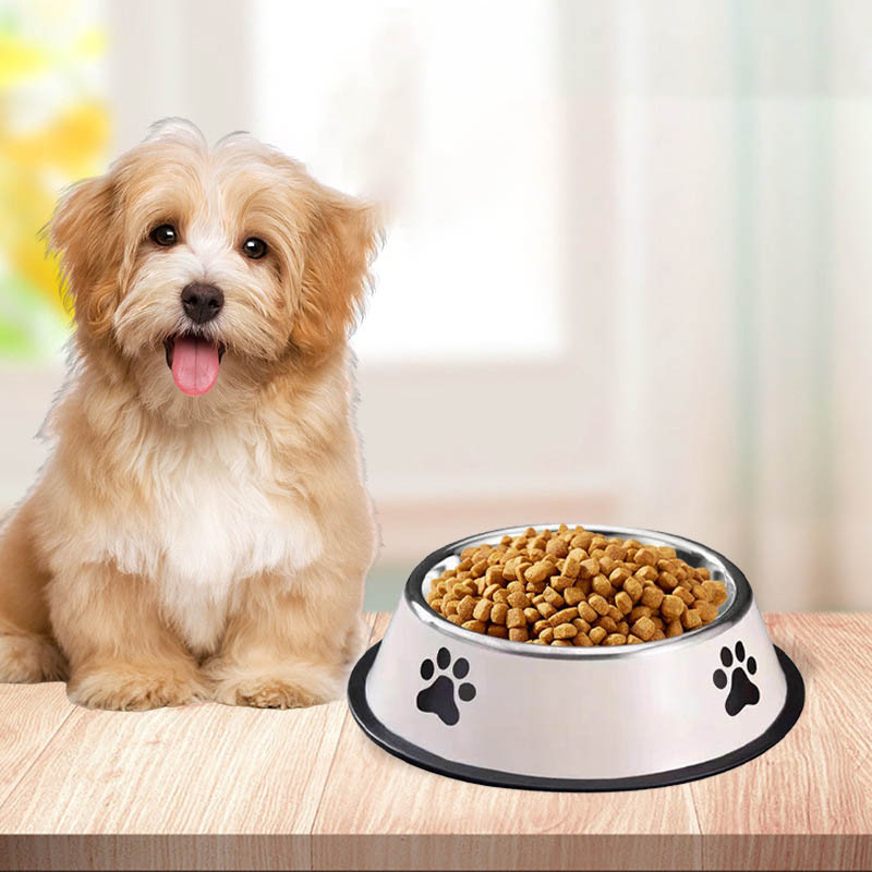 Edelstahl-Futternapf mit große – Pet Supplies Dog Food Bewertung und Preis