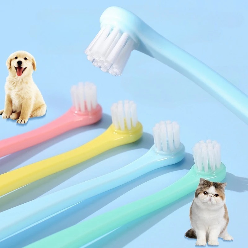 Hundezahnbürste mit Kleinem Bü – Pet Supplies Dog Food Bewertung und Preis
