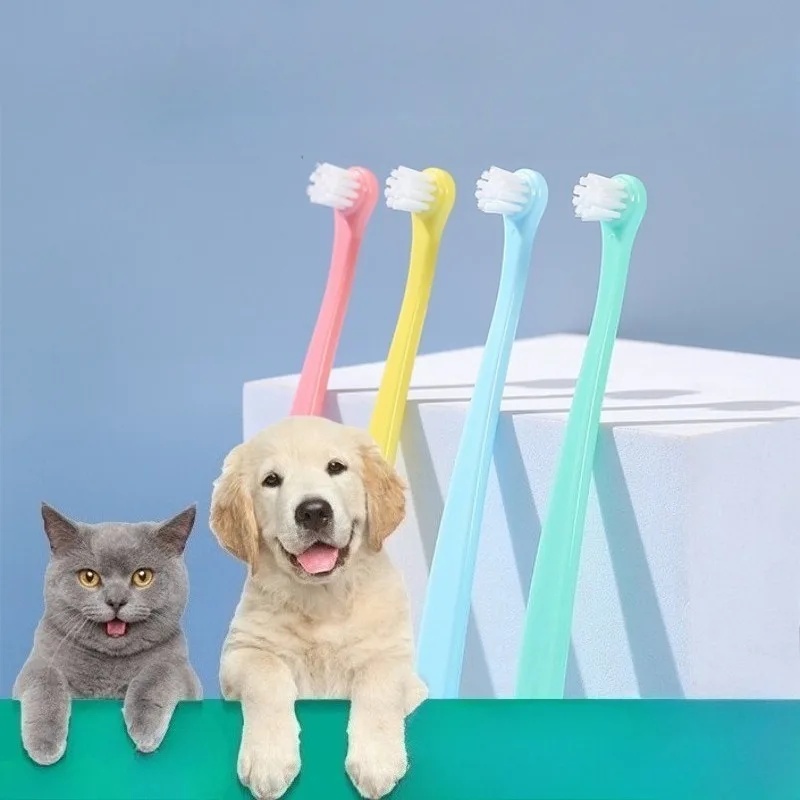 Hundezahnbürste mit Kleinem Bü – Pet Supplies Dog Food Bewertung und Preis
