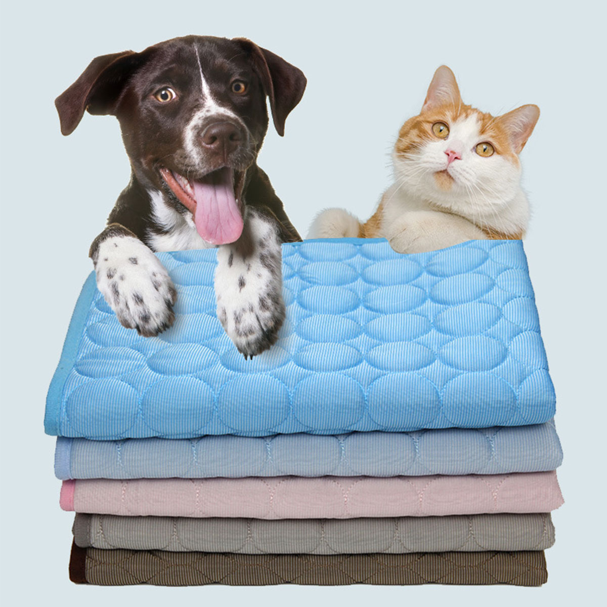 Haustier-Kühlmatte für den Som – Dog Cooling Mat Bewertung und Preis