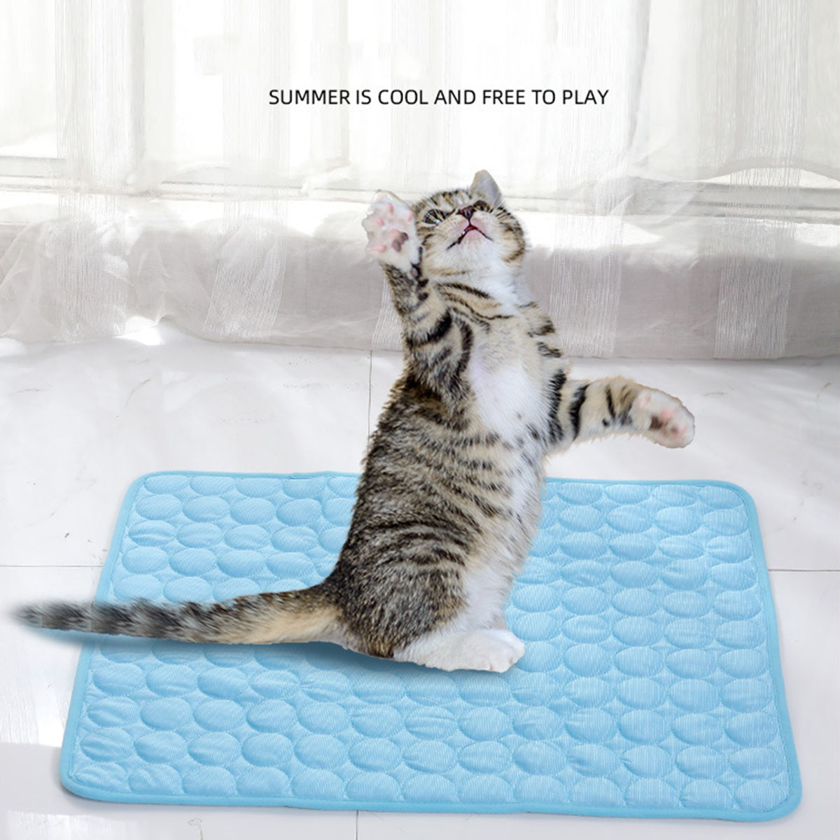 Haustier-Kühlmatte für den Som – Dog Cooling Mat Bewertung und Preis