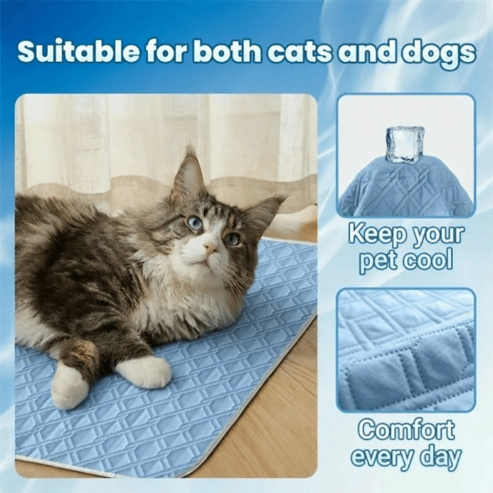 Neue Sommer-Kühlmatte für Hund – Dog Cooling Mat Bewertung und Preis