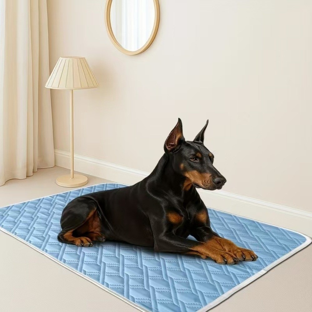 Neue Sommer-Kühlmatte für Hund – Dog Cooling Mat Bewertung und Preis