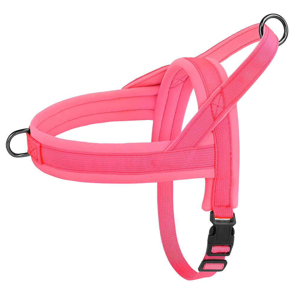 Nylon gepolsterte Hunde geschi – No Pull Dog Harness Bewertung und Preis