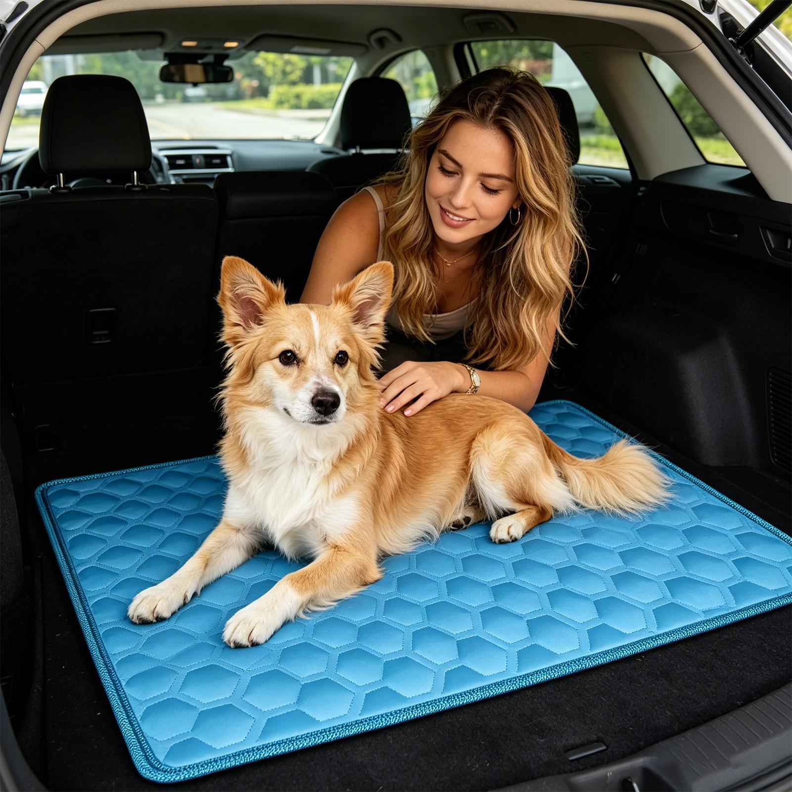 Kühlmatte für Haustiere, rutsc – Dog Cooling Mat Bewertung und Preis
