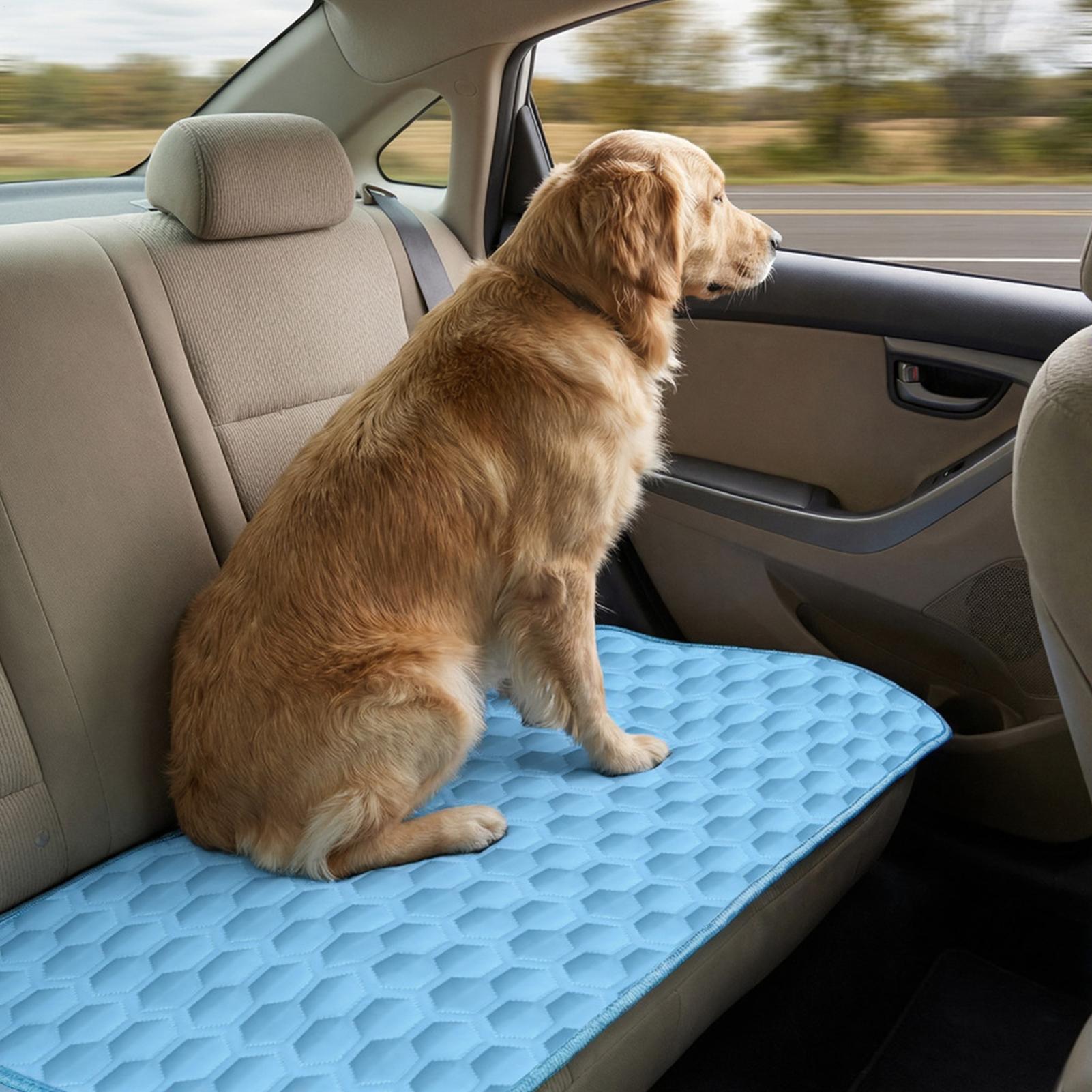 Kühlmatte für Hunde, kaubestän – Dog Cooling Mat Bewertung und Preis
