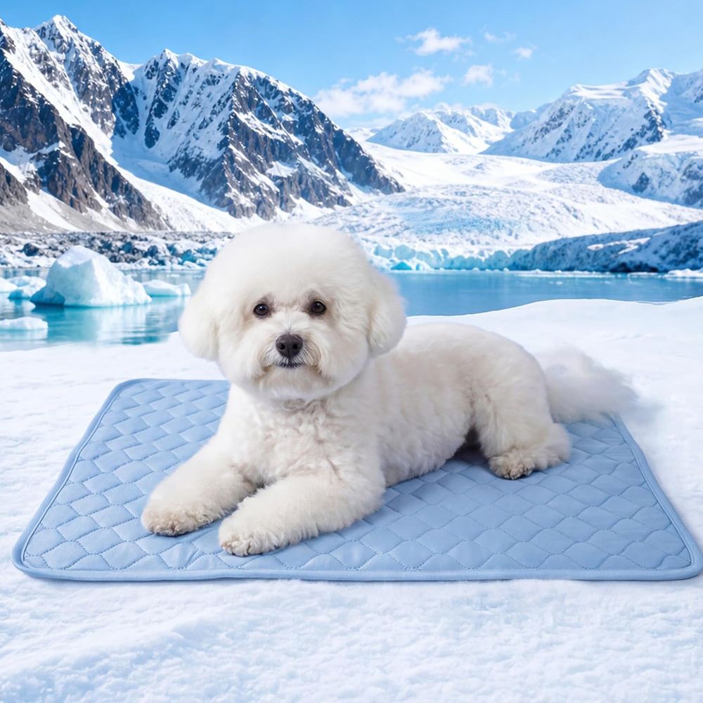 Kühlmatte für Kleine Hunde, We – Dog Cooling Mat Bewertung und Preis