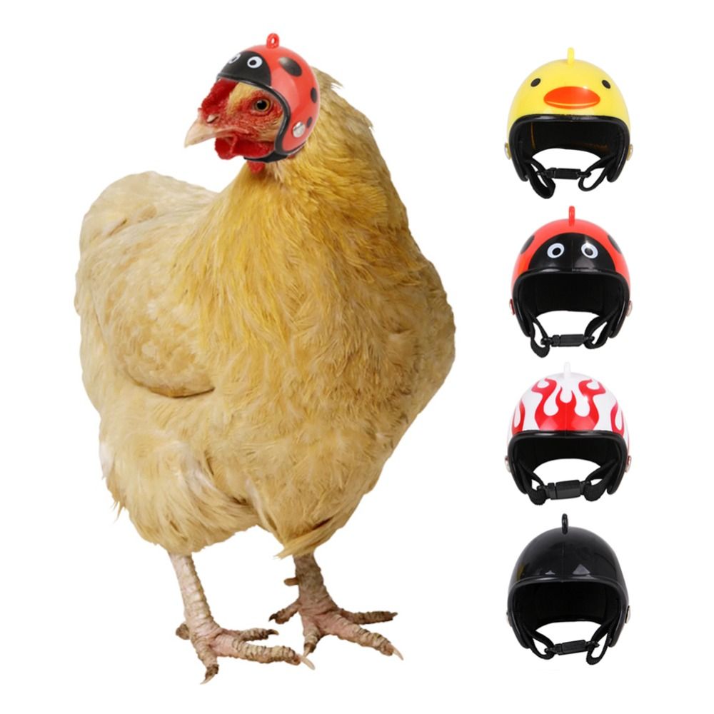 ABS Haustierzubehör Lustiger S – Pet X Supplies & Tack Howell Photos Bewertung und Preis