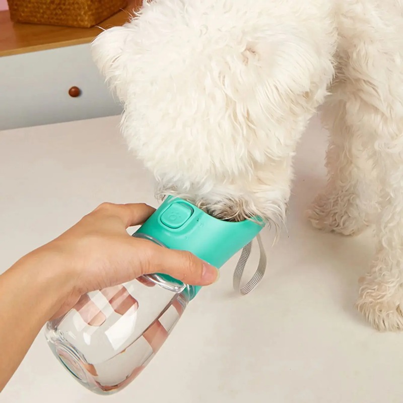 Tragbare Wasserflasche für gro – Pet Supplies Dog Food Bewertung und Preis